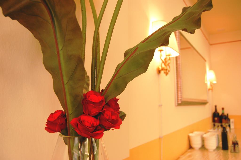 Hotel Brasile Μοντεκατίνι Τέρμε Εξωτερικό φωτογραφία