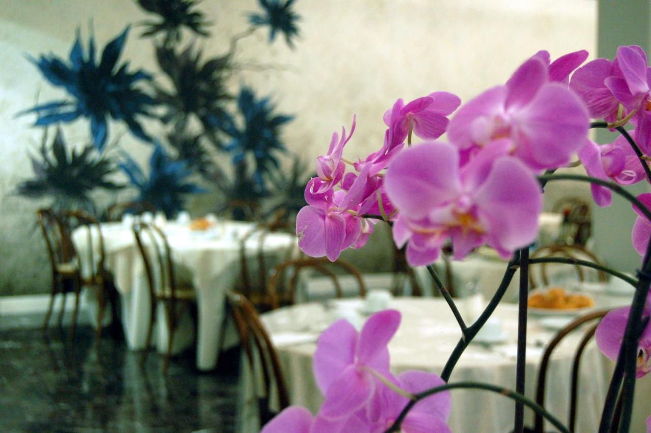 Hotel Brasile Μοντεκατίνι Τέρμε Εξωτερικό φωτογραφία
